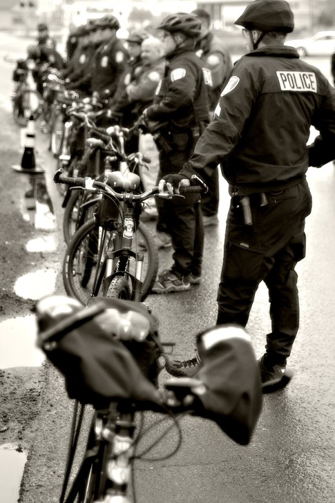 © The Vigilant Lens