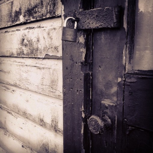 © The Vigilant Lens