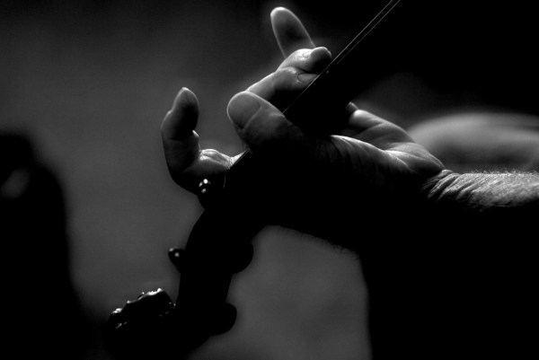 copyright @ The Vigilant Lens